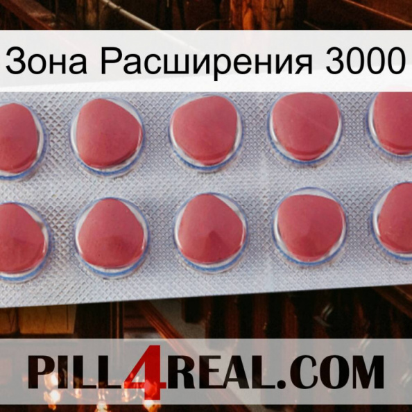 Зона Расширения 3000 18.jpg